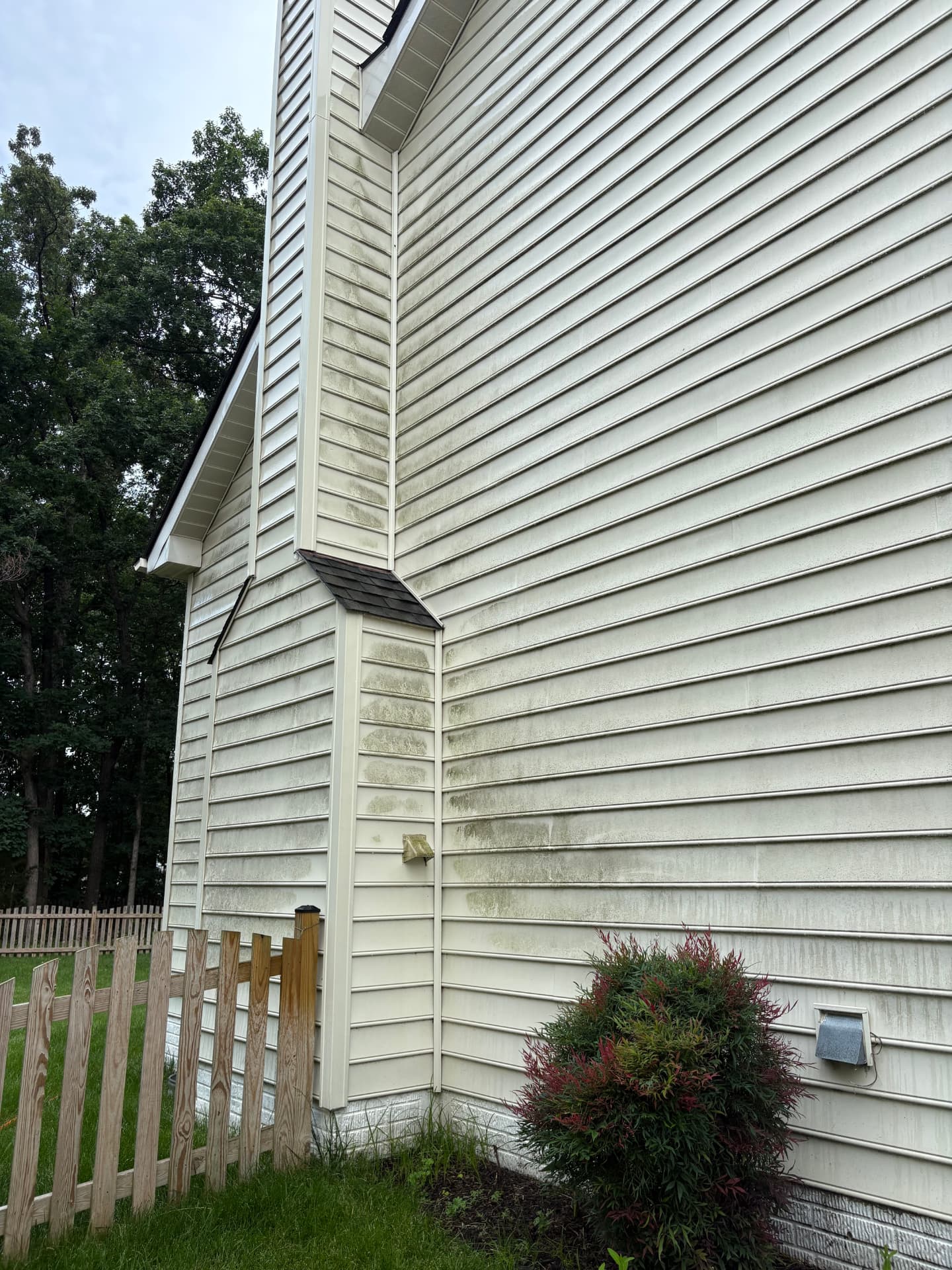 House Washing before cleaning